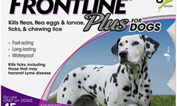 Read more about the article Frontline Plus for Dogs 4588 lbs Purple, 6 Month